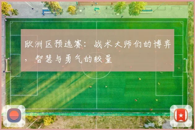 欧洲区预选赛：战术大师们的博弈，智慧与勇气的较量